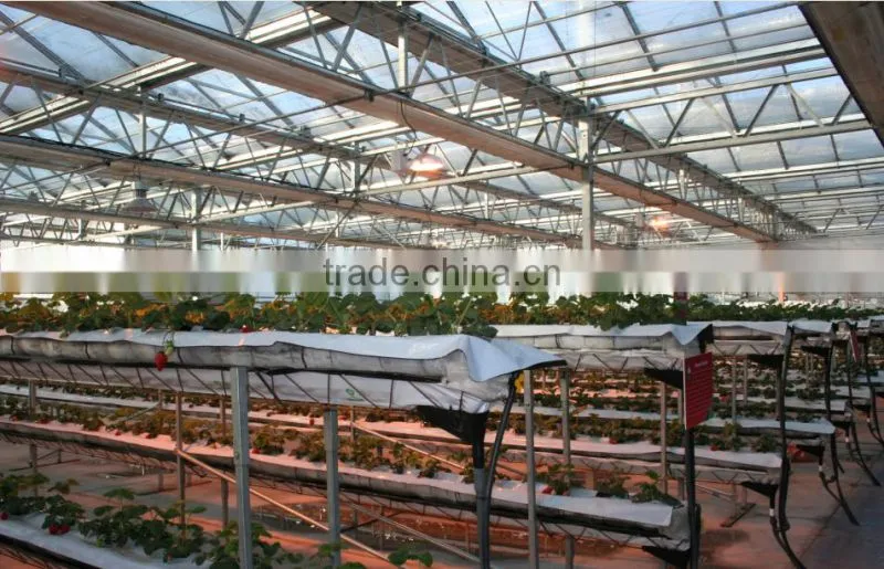 Venlo tempered glass/float glass greenhouse with hydroponic growing