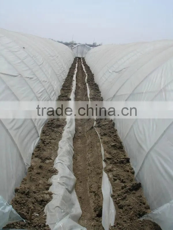 UV protect anti fog Transparent Coextruded PE Cover Film PE mulch film for grape greenhouse