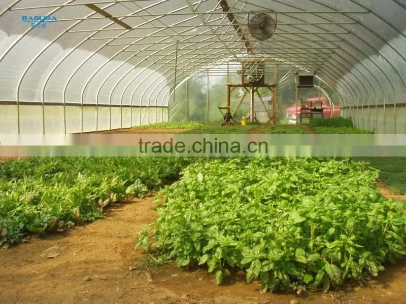 Cheap 30 x 100 greenhouse