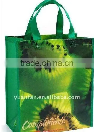 PP Non woven fabric for shopping bag