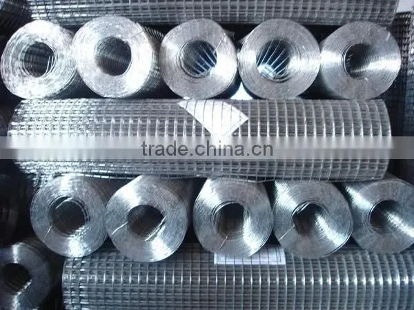Galvanized Welded wire mesh from Guangzhou supply