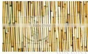 reed fence