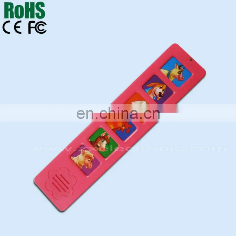 Customized sound pre-loaded electronic book