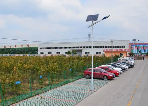Shandong Rino International Trade Co., LTD company overview - view 1