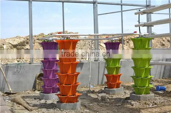 12M Wide Span Greenhouse