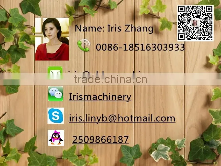 Hot Sale price date printter with ce 0086-18516303933