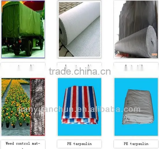 China PE Tarpaulin