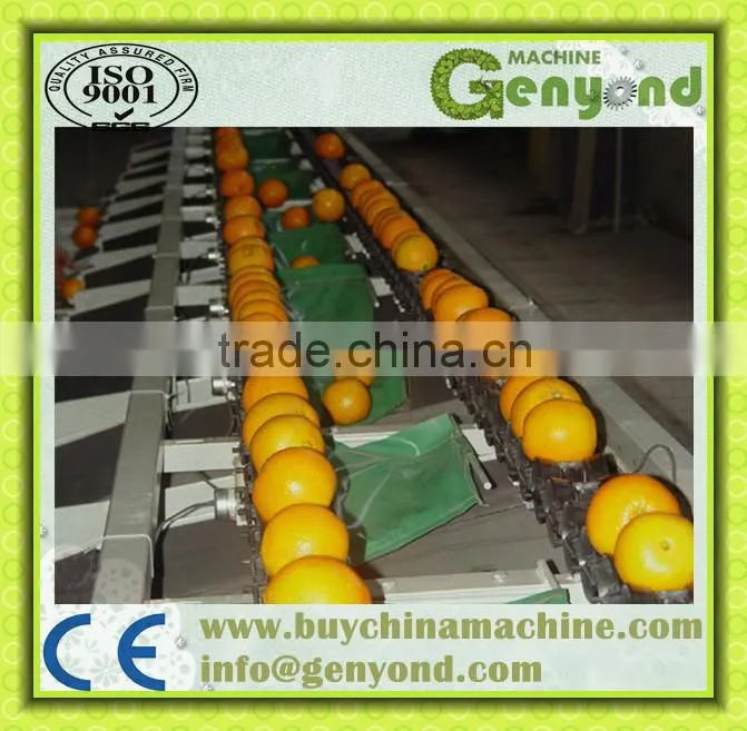 orange opto-electronic grading line