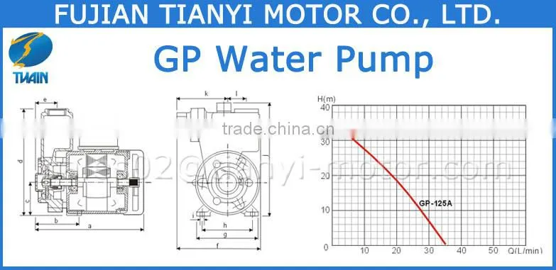 GP125AUTO Water Pump Brand