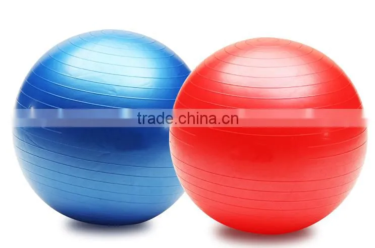 65cm Diameter Gym Ball/ Gym Equipment/ Rack