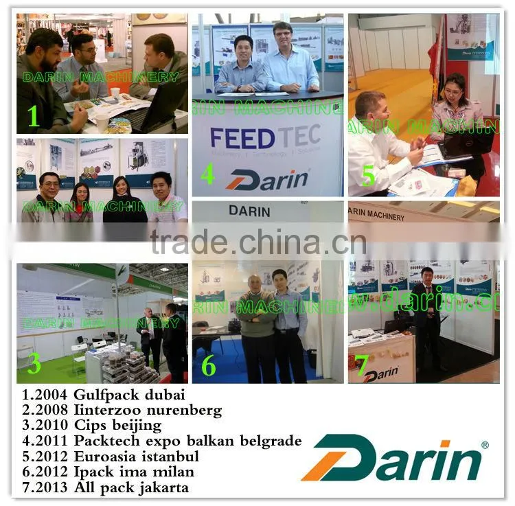 Horizontal Down-paper Rotary Pillow Packing Machine