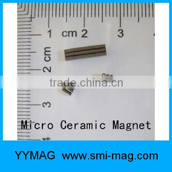 Magnet for watch/SmCo mini ring magnet
