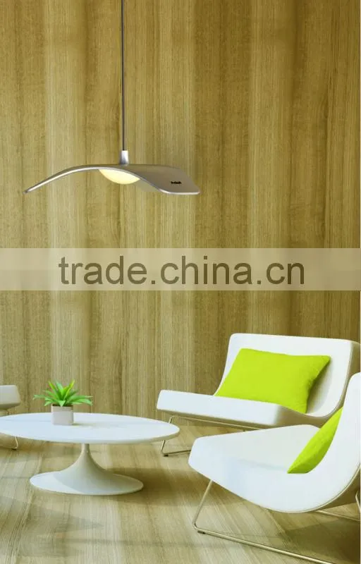 Modern designed LED ceiling light