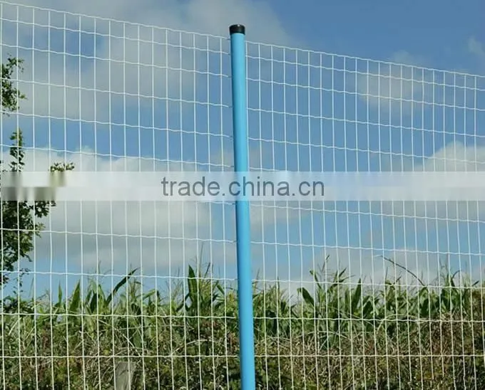PVC coated Euro fence manufacturer