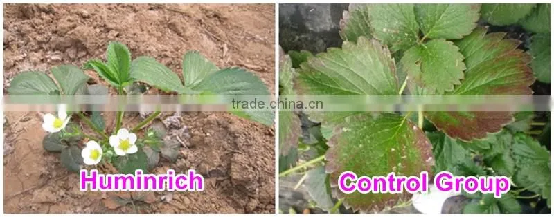Huminrich 100% Water Soluble Potassium Humate Fertilizantes Para El Melon
