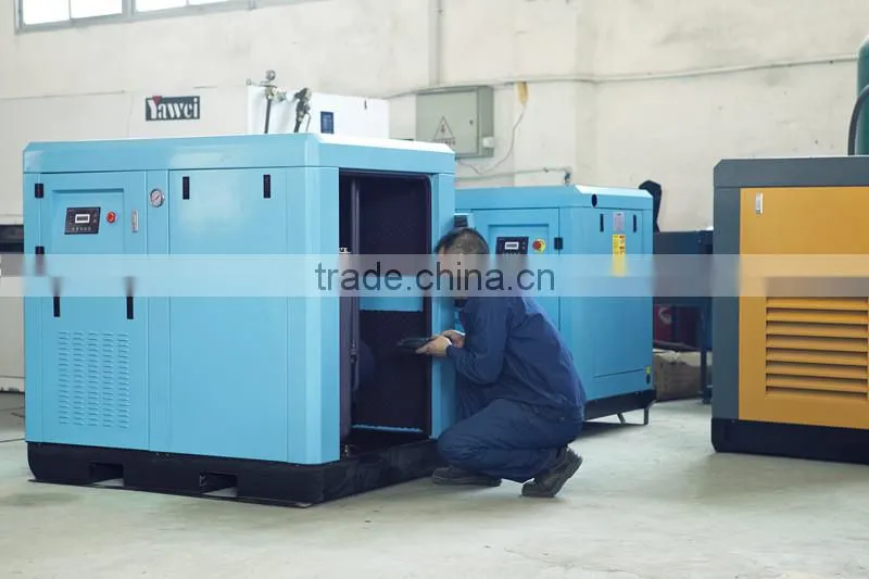 Portable air compressor for spray painting