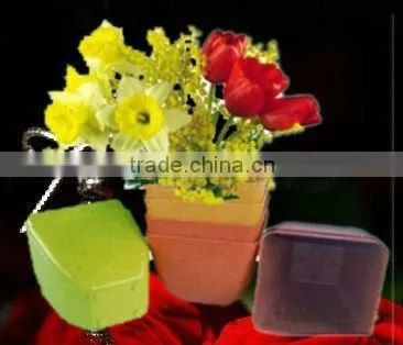 Plant Grafting Clip