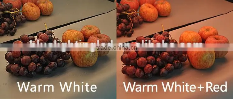 DC24V Warm White Cool White and Red Color in one led strip light led food light