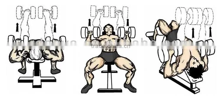 Deluxe PU Stress Dumbbells