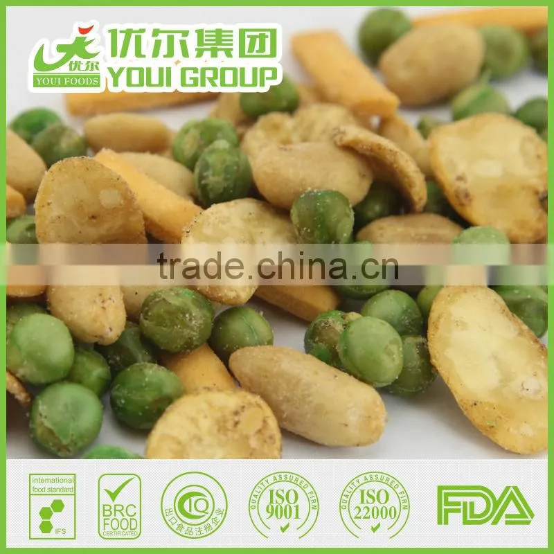 Mixed Snacks of Roasted Beans and Dry Fruits