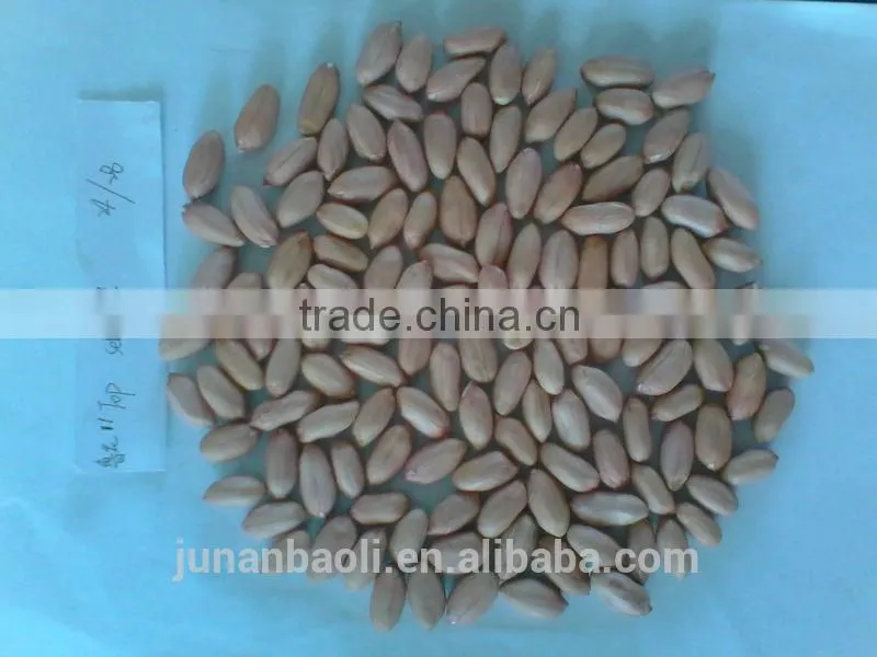 FLOWER11 FLOWER 17 PEANUT KERNEL