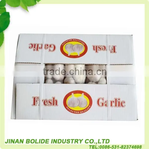chinese natural garlic supplier
