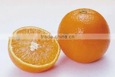Orange Peel Extract