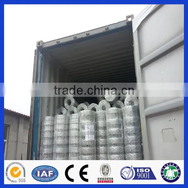 Made in china 20 years experience Professional factory hot sale field fence