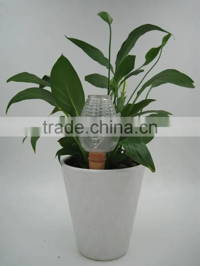 Corn Watering Spike