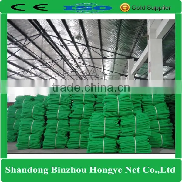 100% new HDPE durable scaffold net/safety net from China