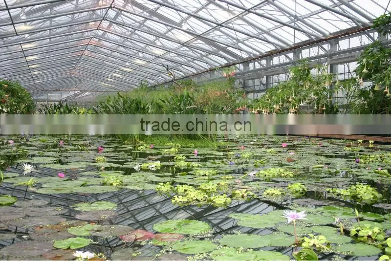 Enjoy Greenhouse garden