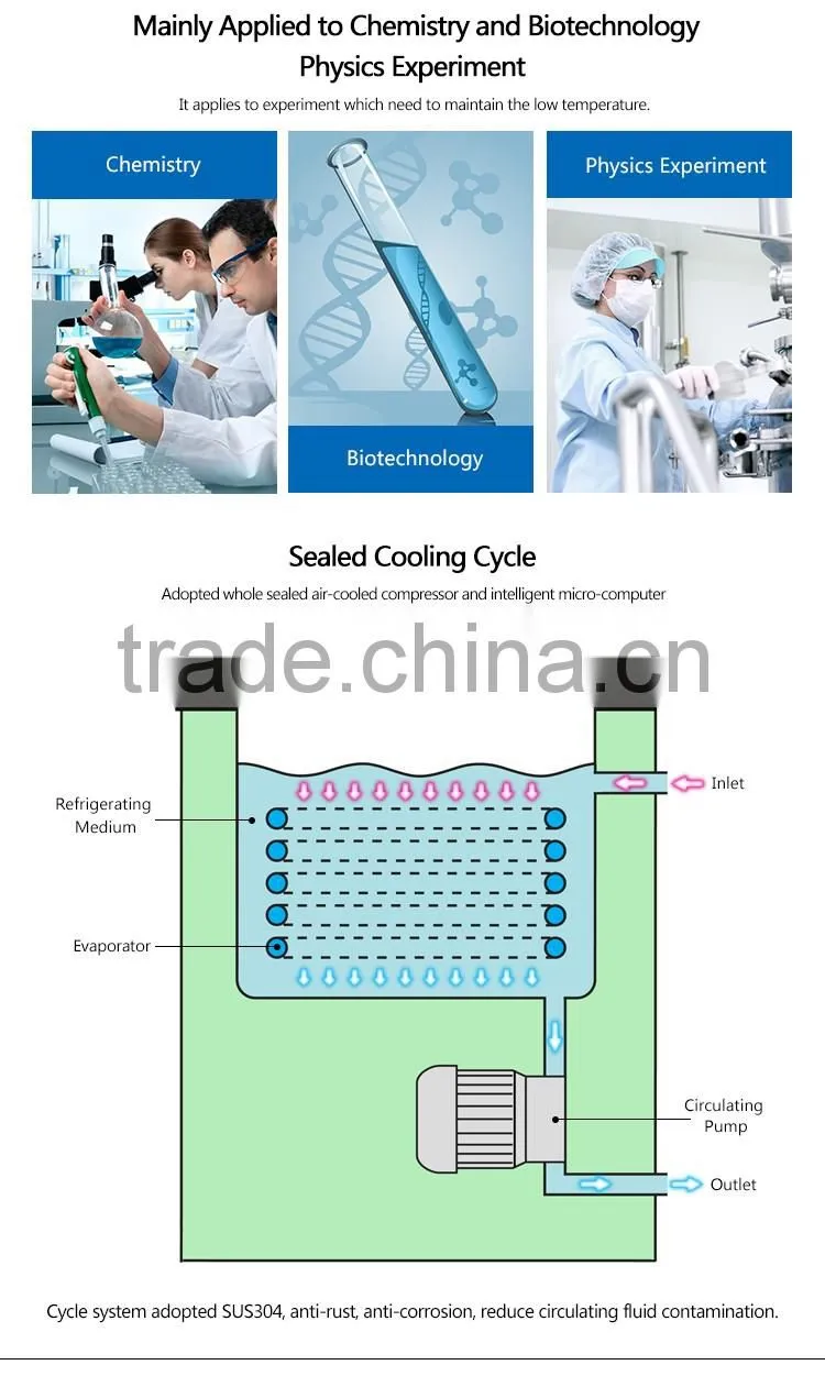 DLSB-30 Lab Low Temperature Cooling Liquid Circulating Pump