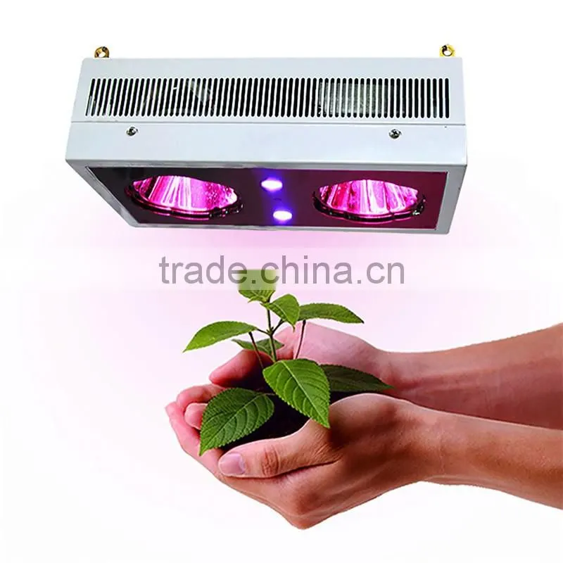 UV Light Lamp Malaysia Greenhouse Horticulture Used LED Grow Light