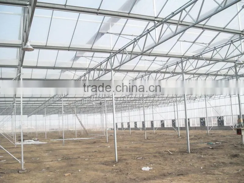 Automatic constant temperature PC board seedling in greenhouse