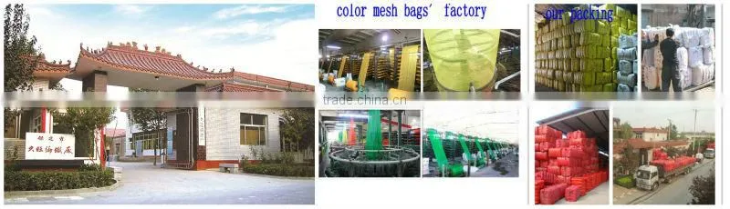PP PE raschel garlic mesh bags