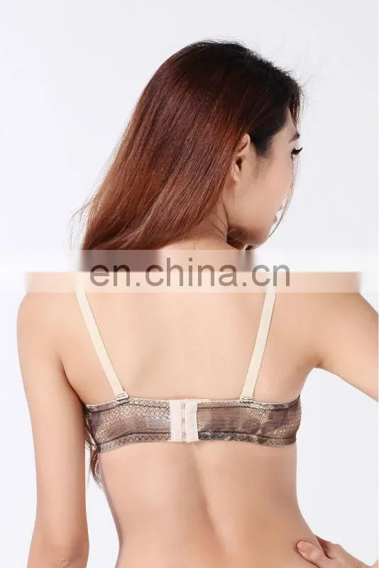 Nude And Black Lace Bra