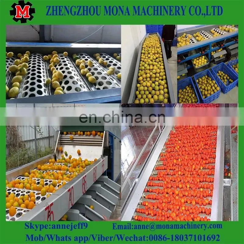 3ton/h food grade industrial fruit fish cassava fruit washing grading waxing machine