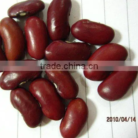 organic beans