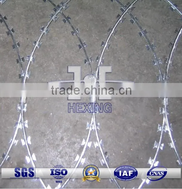 razor wire used in military protective barrier