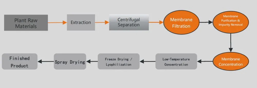 Plant raw material raw material whole line turnkey project Process Flow