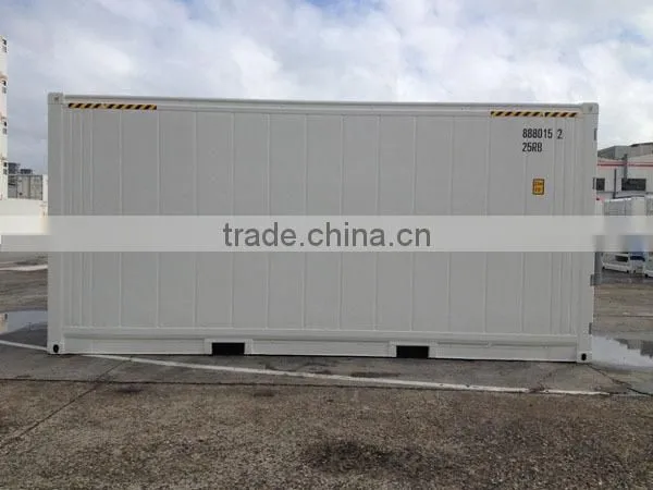 20' 40' New Reefer Container High Cubes