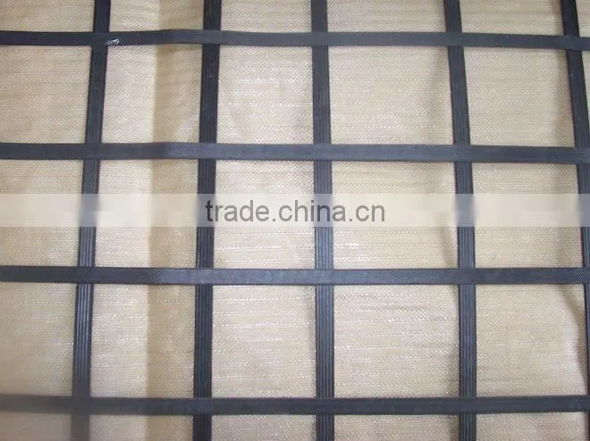steel plastic geogrid(TGSG4040-120120)