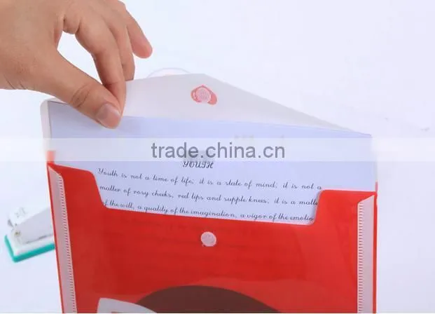 China supplier Promotions PP printing A4 plastic clear file folder