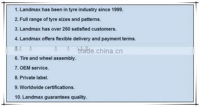 Promotion Sunny Winter Tyre 225/45R17