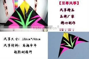 3m delta kite