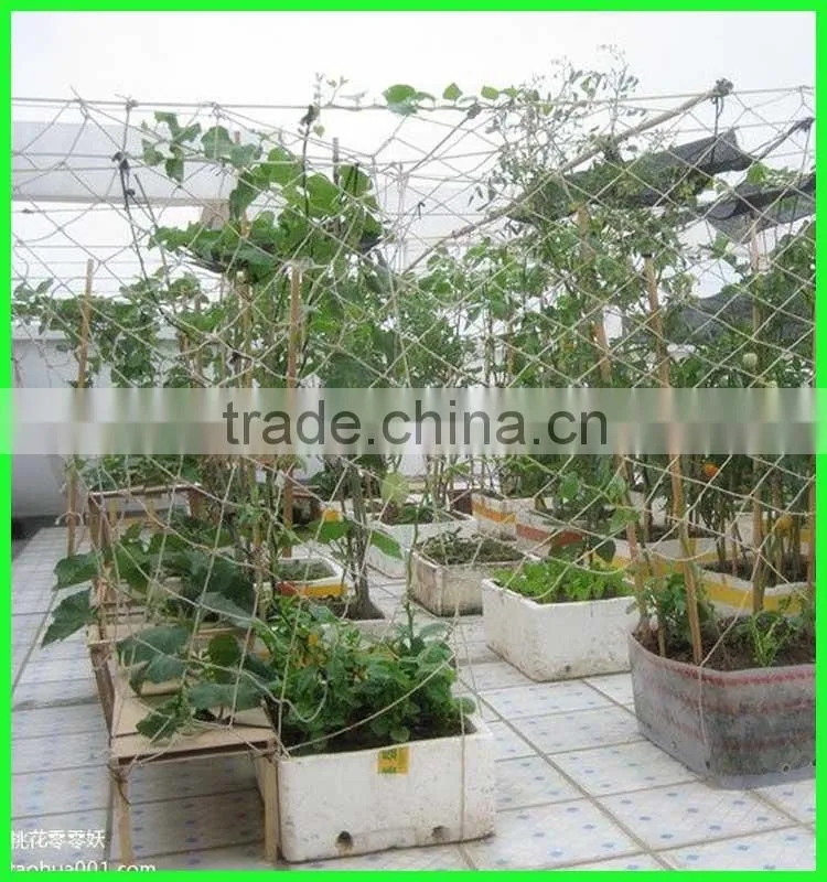 Low Price New Hdpe Material Climbing Plants Supporting Network For Sale
