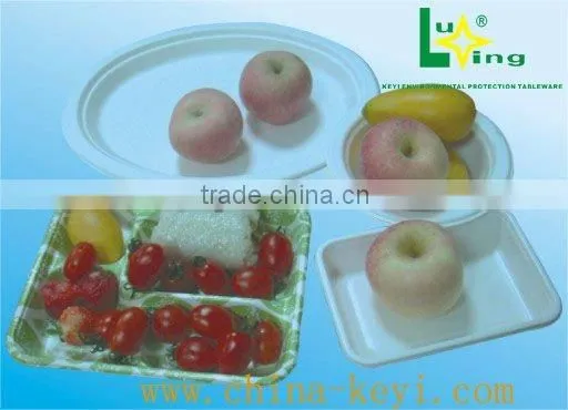 disposable food tray(made with 100% bagasse)