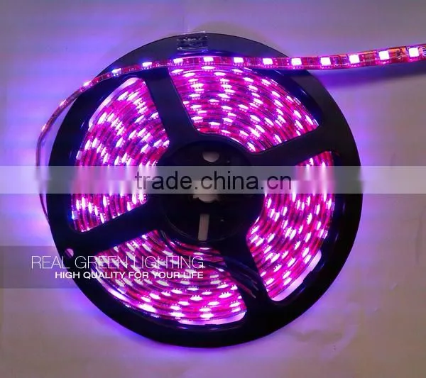 5M 12V IP65 Waterproof 300LEDs Pink 3M Self-adhesive LED Strip Light 5050
