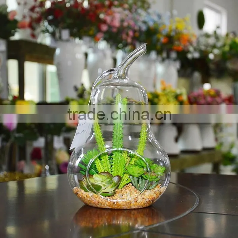 Plastic Succulent Plants Geometric Glass Terrarium Wholesale Container