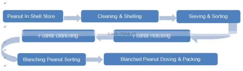 Best Selling High Praised Best Selling Peanut Roasting Blanching Line